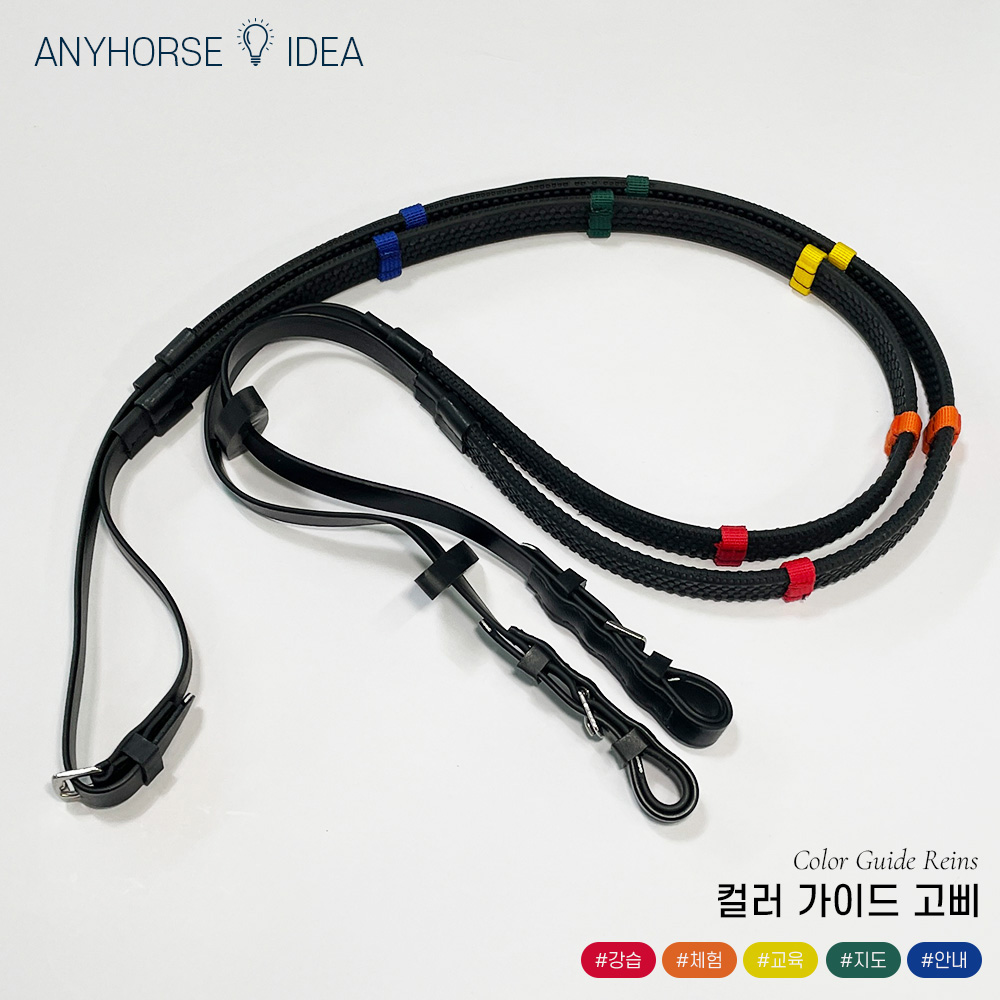 Anyhols color guide reins